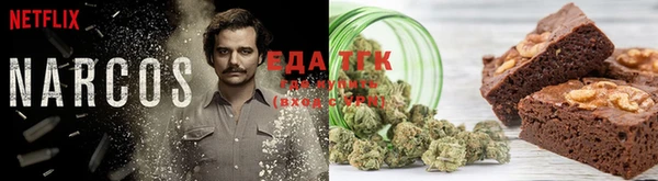 СК Алексин