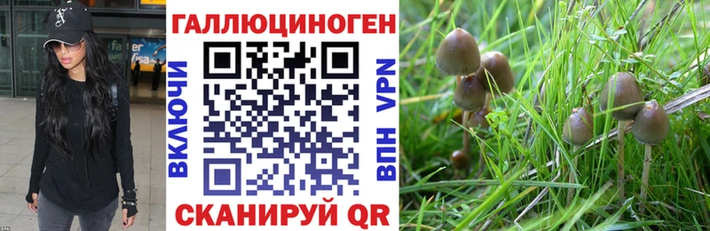 Псилоцибиновые грибы Psilocybine cubensis закладки ссылка на мегу tor Кинель